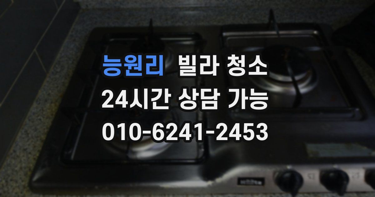 능원리 빌라 청소