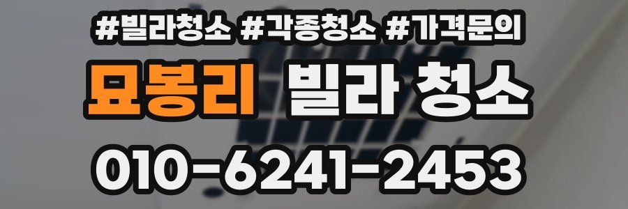 묘봉리 빌라 청소