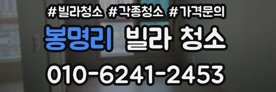 봉명리 빌라 청소