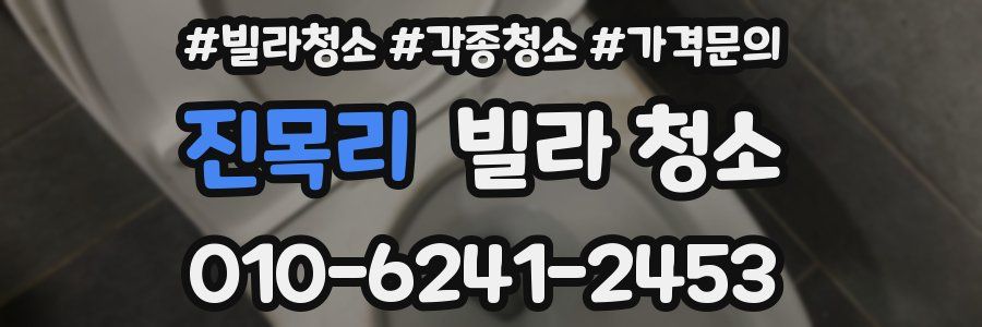 진목리 빌라 청소