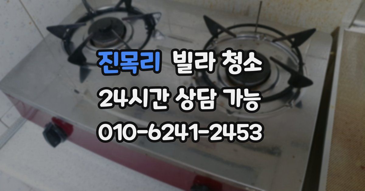 진목리 빌라 청소