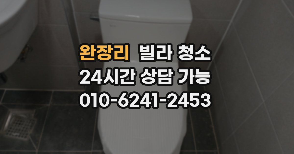 완장리 빌라 청소