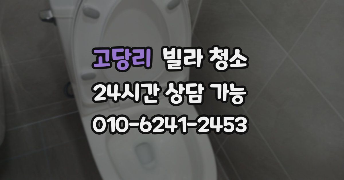 고당리 빌라 청소