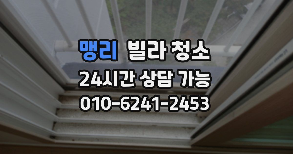 맹리 빌라 청소