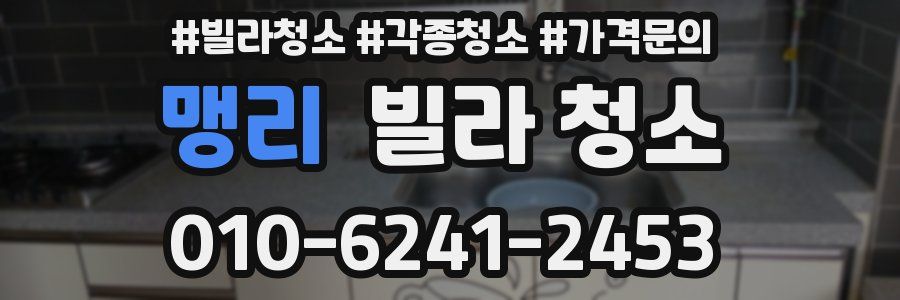 맹리 빌라 청소