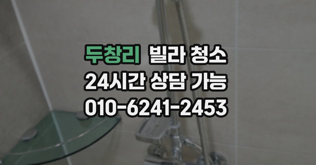 두창리 빌라 청소