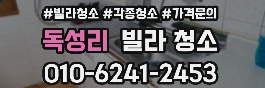 독성리 빌라 청소