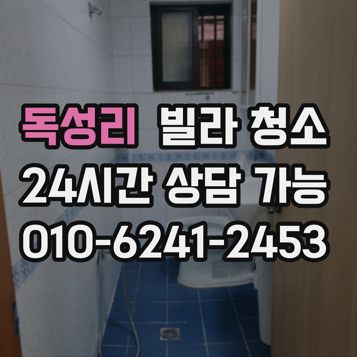 독성리 빌라 청소