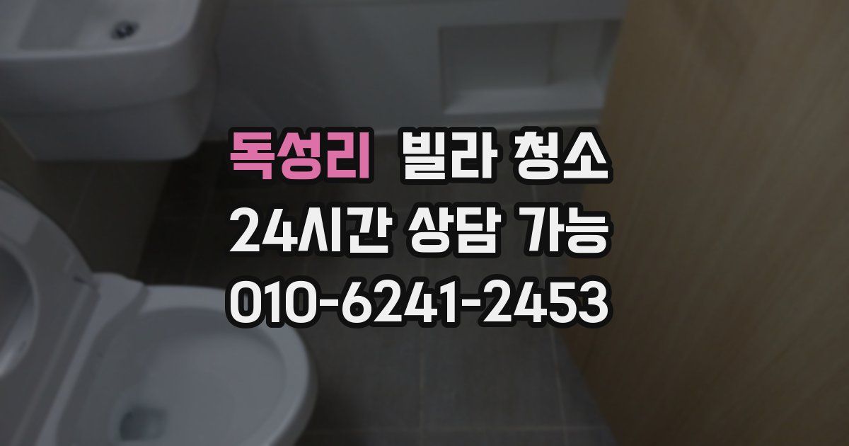 독성리 빌라 청소