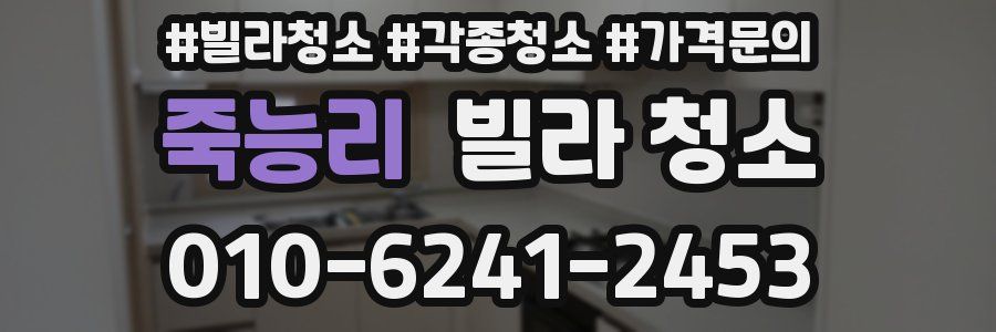 죽능리 빌라 청소