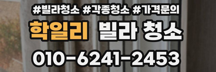 학일리 빌라 청소