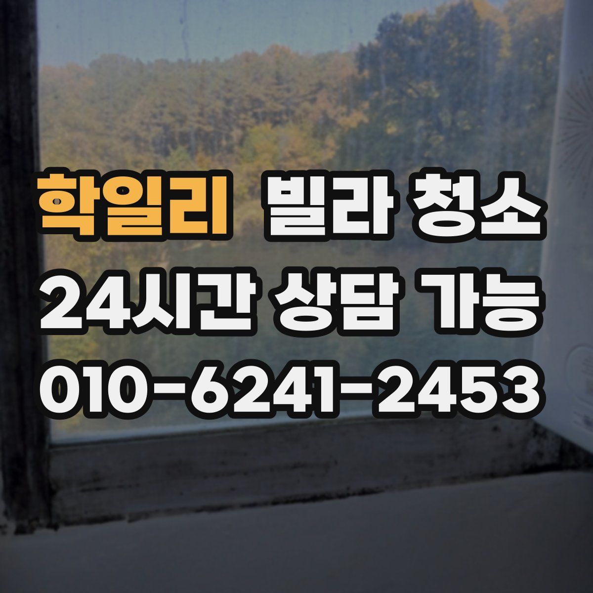 학일리 빌라 청소