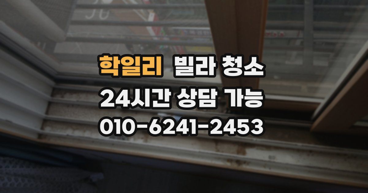 학일리 빌라 청소