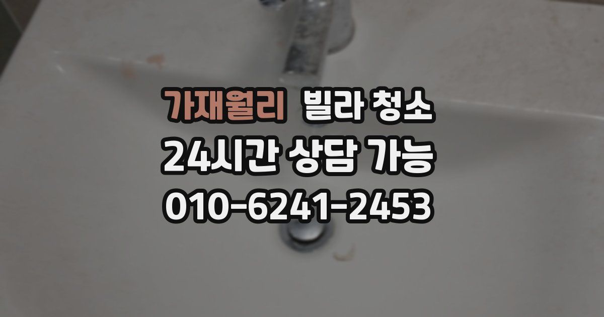 가재월리 빌라 청소