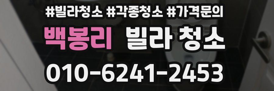 백봉리 빌라 청소