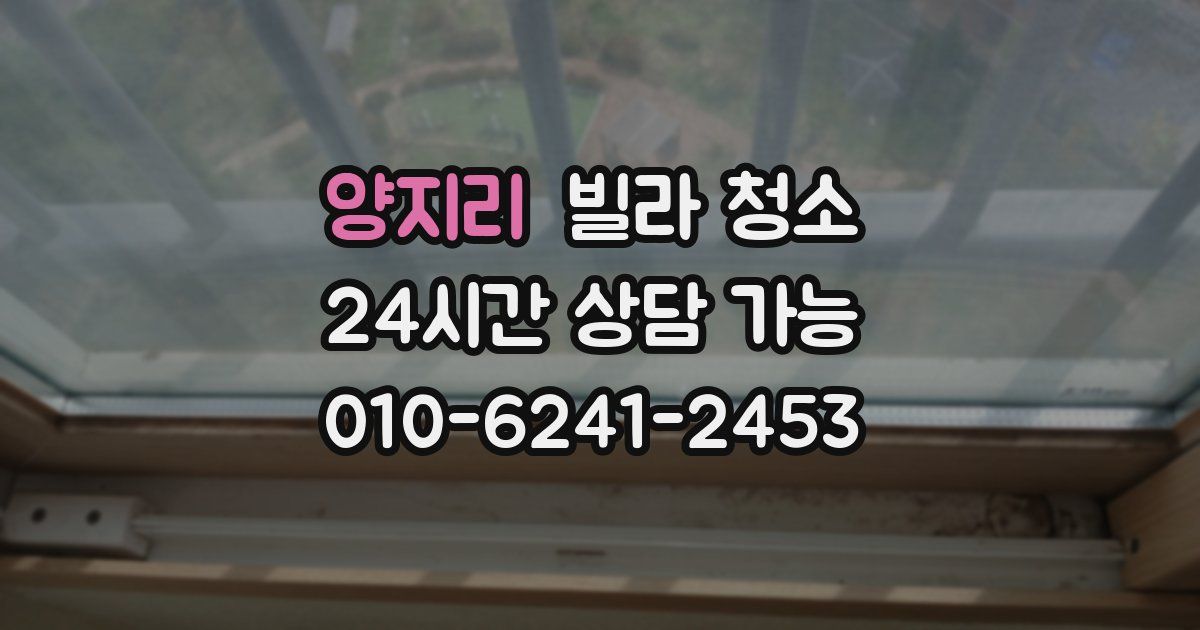 양지리 빌라 청소