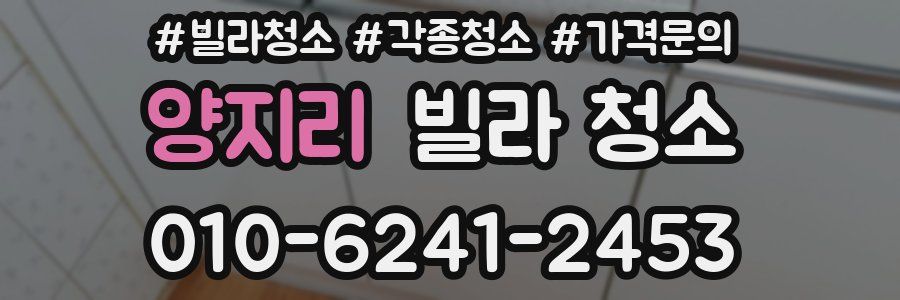 양지리 빌라 청소