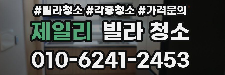 제일리 빌라 청소