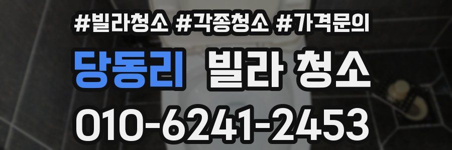 당동리 빌라 청소