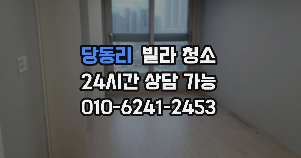 당동리 빌라 청소