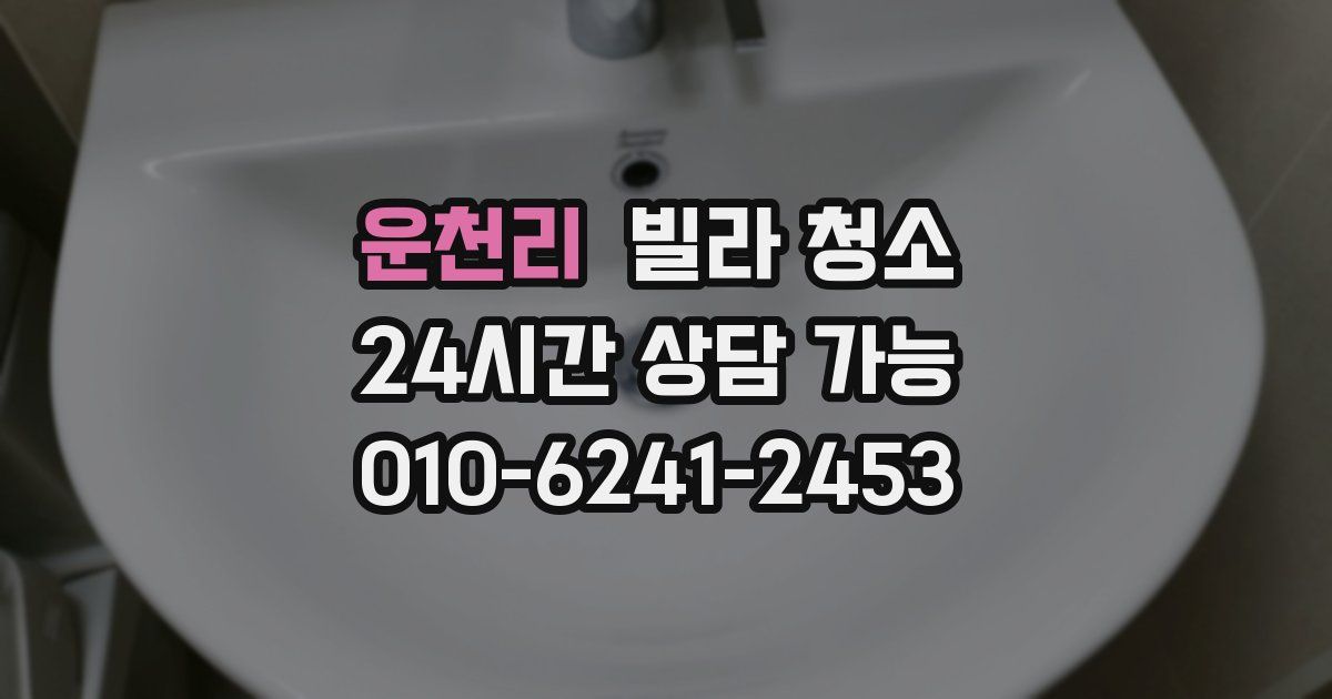 운천리 빌라 청소