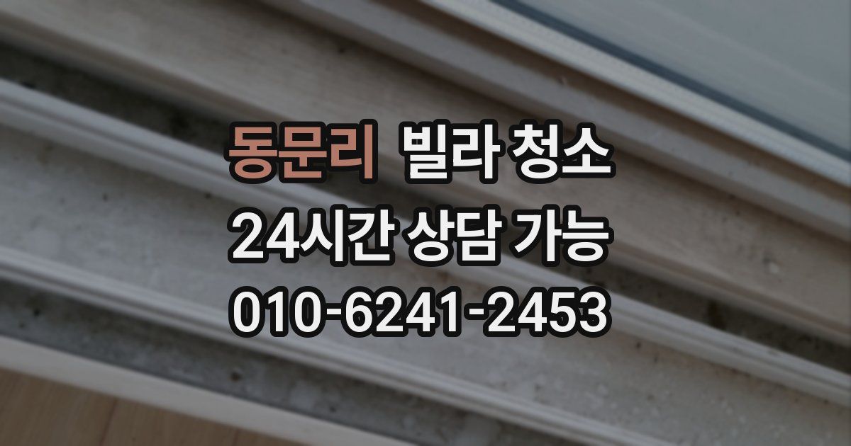 동문리 빌라 청소