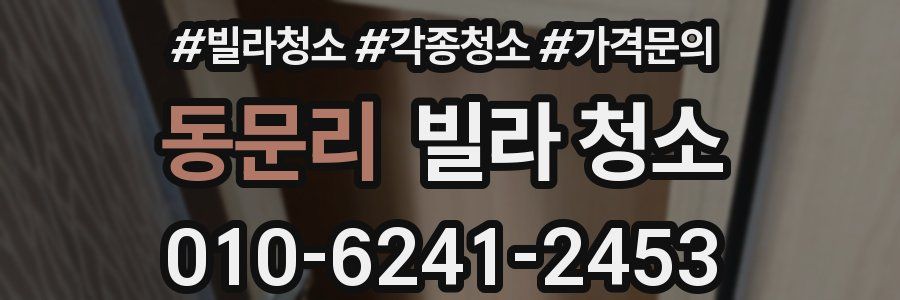 동문리 빌라 청소