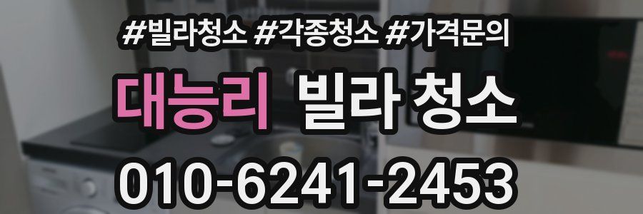 대능리 빌라 청소