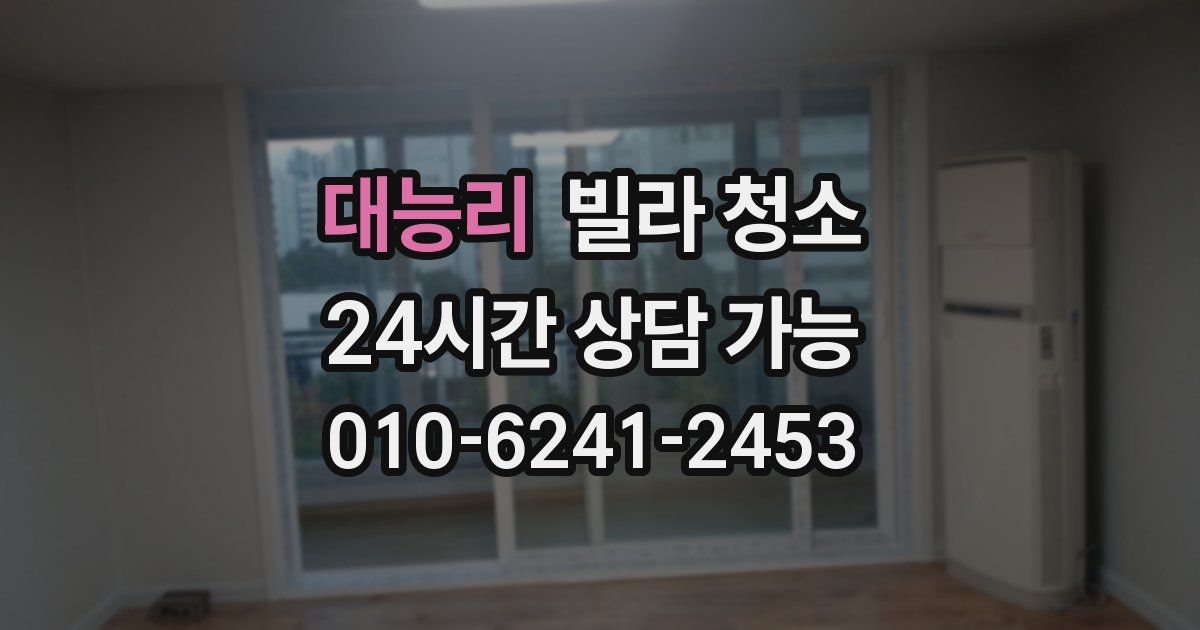 대능리 빌라 청소