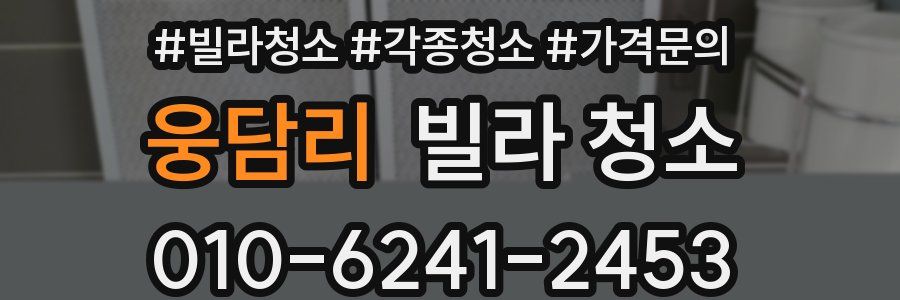 웅담리 빌라 청소