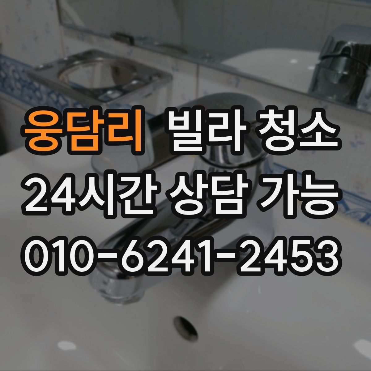 웅담리 빌라 청소