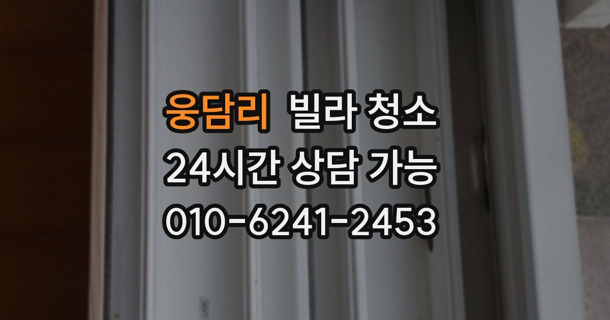 웅담리 빌라 청소