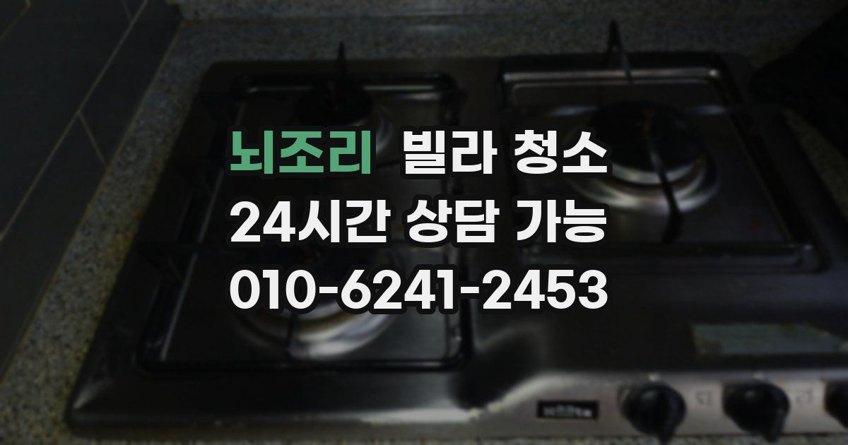 뇌조리 빌라 청소