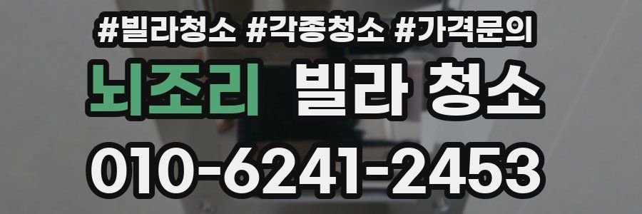 뇌조리 빌라 청소