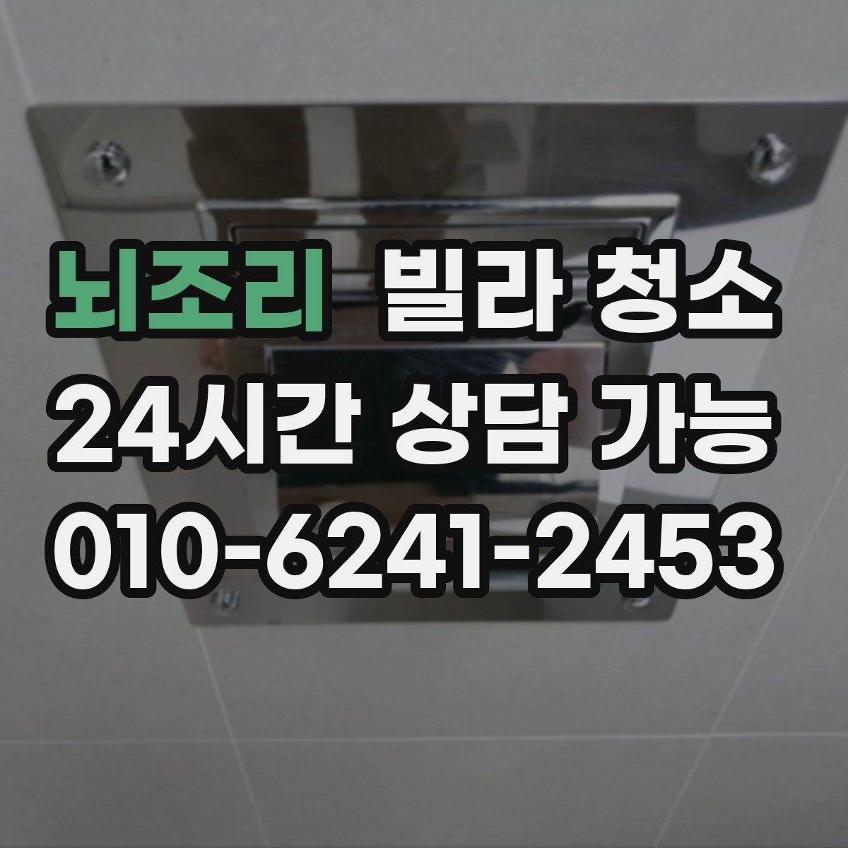 뇌조리 빌라 청소