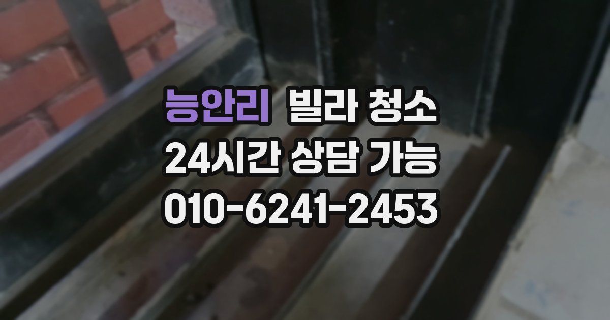 능안리 빌라 청소