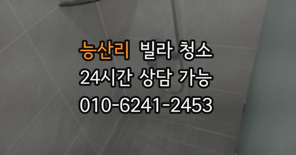 능산리 빌라 청소