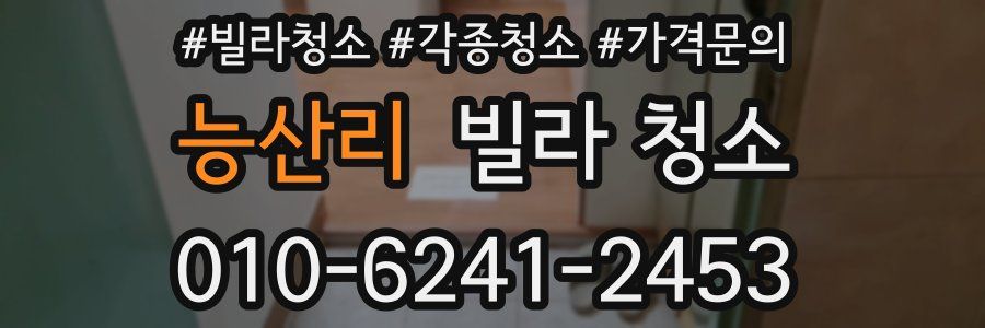 능산리 빌라 청소