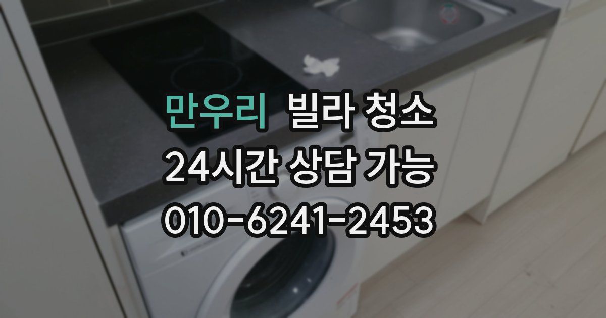 만우리 빌라 청소