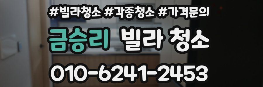 금승리 빌라 청소