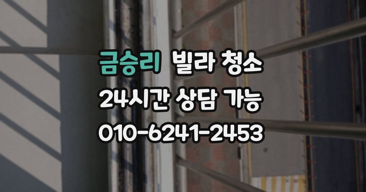 금승리 빌라 청소