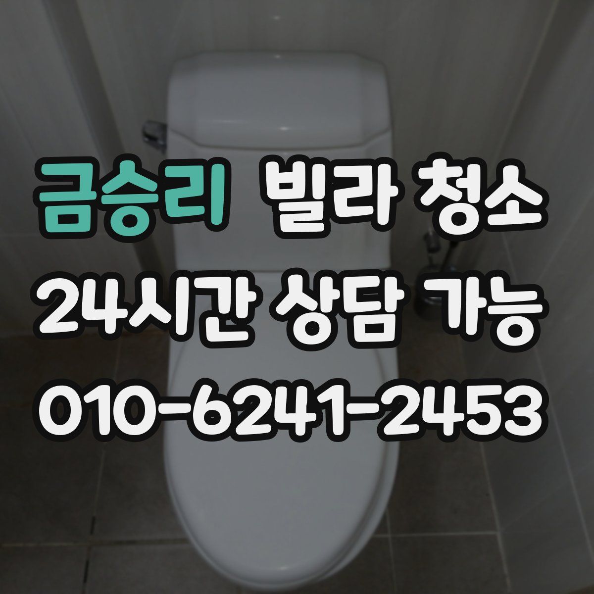 금승리 빌라 청소