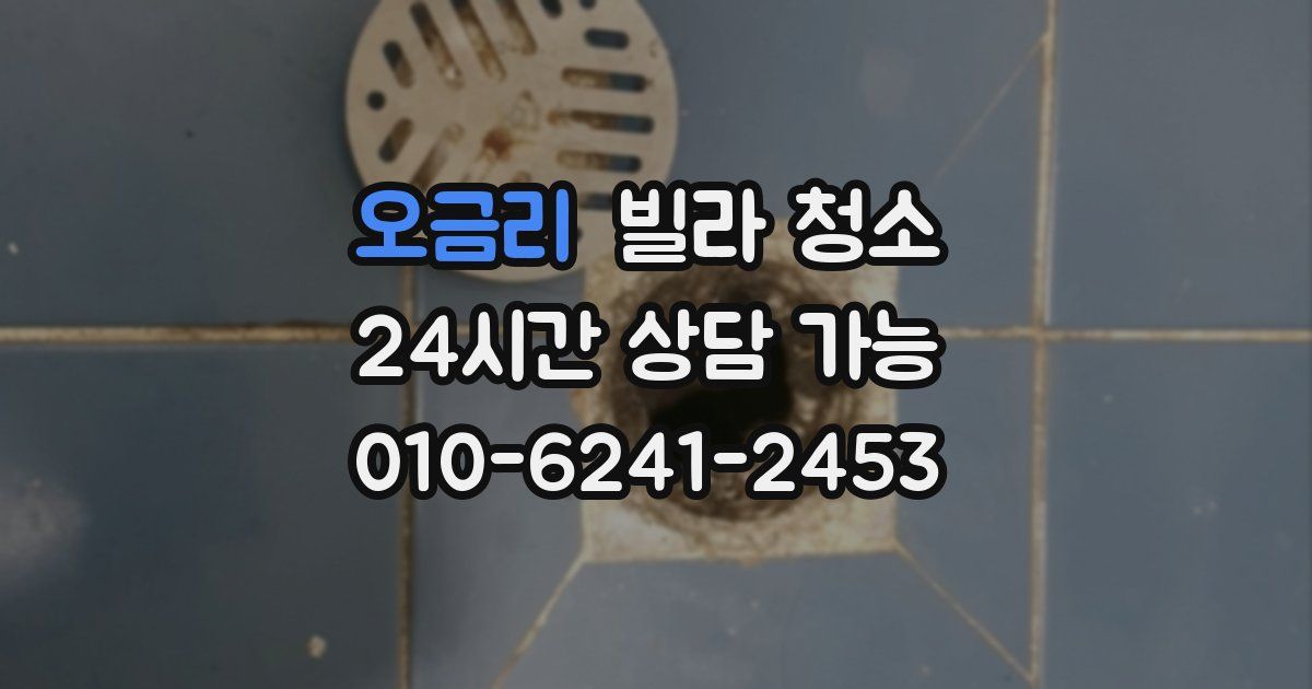 오금리 빌라 청소