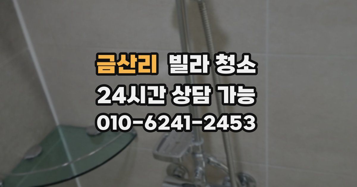 금산리 빌라 청소