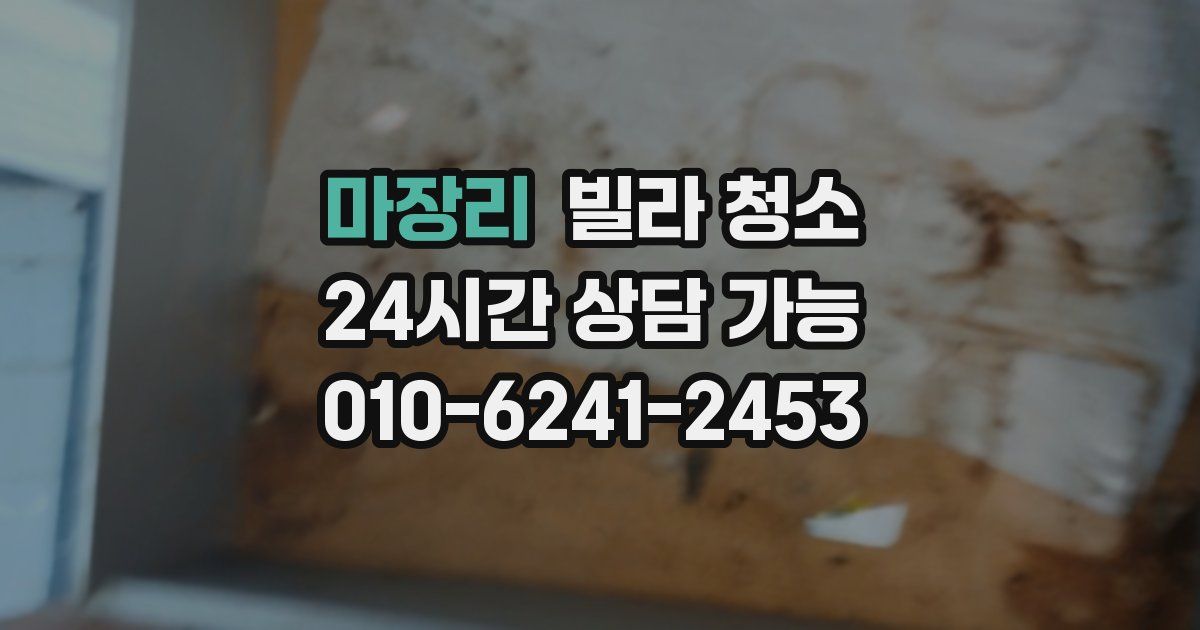 마장리 빌라 청소