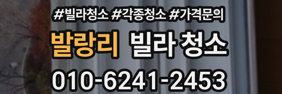 발랑리 빌라 청소