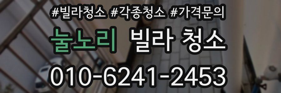 눌노리 빌라 청소