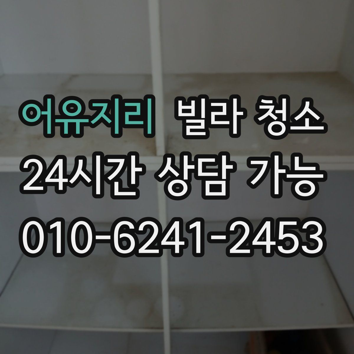 어유지리 빌라 청소