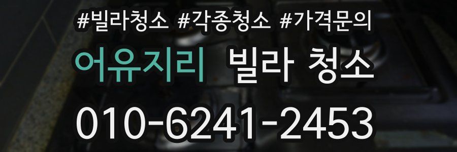 어유지리 빌라 청소