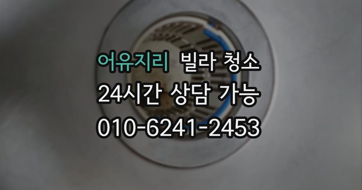 어유지리 빌라 청소